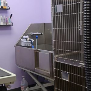 Shores_Animal_Hospital_09
